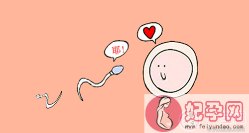 备孕不是一个人的事 先给精子把个脉