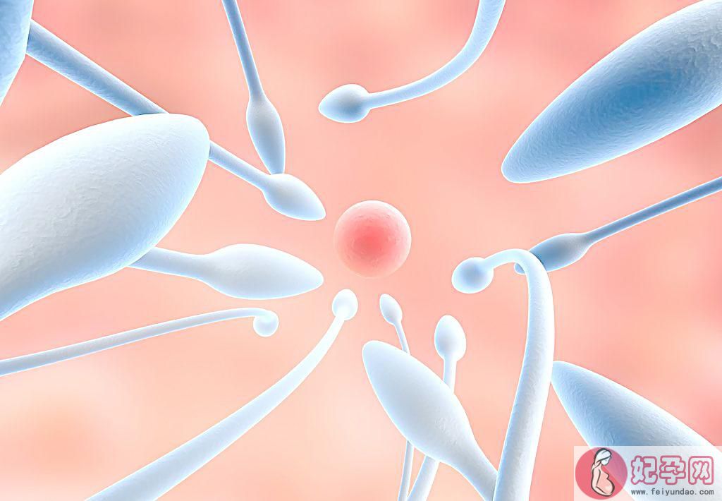 男性精子成活率低是什么原因 精子成活率低怎么治疗