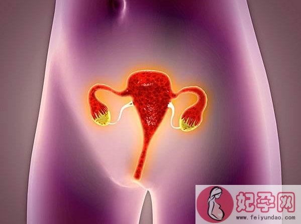 输卵管积液做腹腔镜了怀孕率还是低吗 输卵管积液处理方法