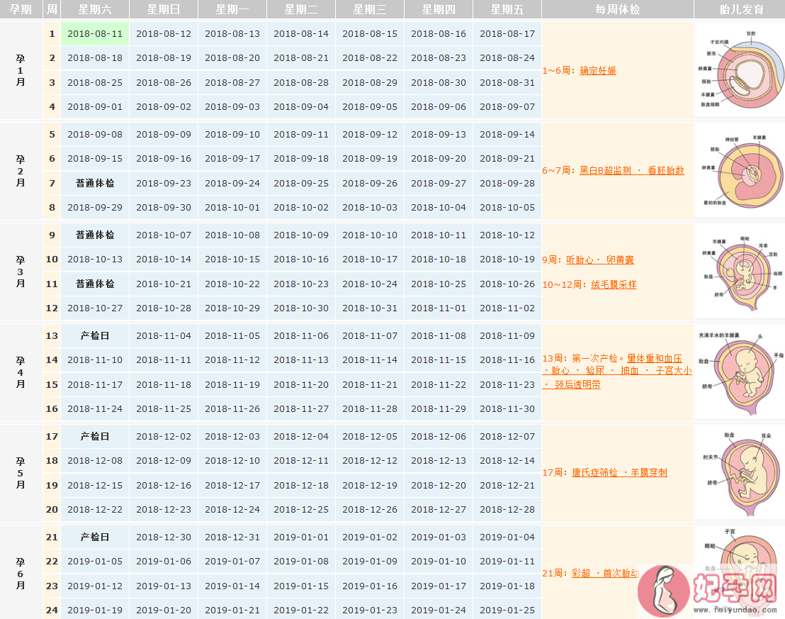 2018末次月经8月11日预产期是什么时候 月经不规律怎么算预产期