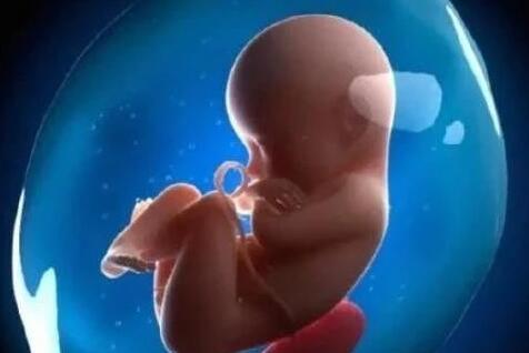 胎宝在孕妈肚子里都在做啥？第一件事让人感动，最后一件让人担心