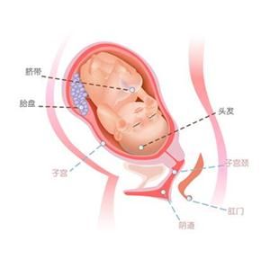 怀孕37周胎儿图