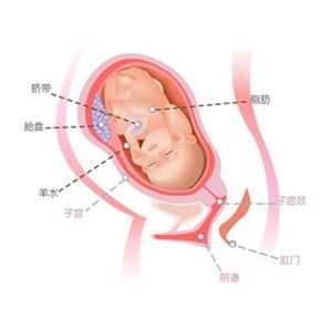 怀孕35周胎儿图