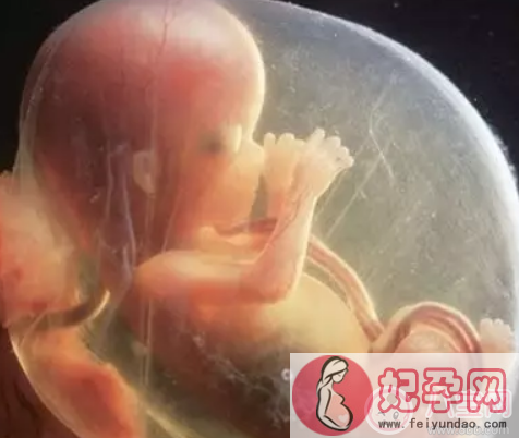意外怀孕是灵魂投胎吗 一怀孕孩子就有灵魂吗