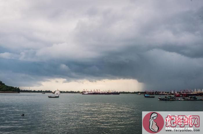 资料图：实拍台风“卢碧”登陆前的海滨。图片来源：视觉中国
