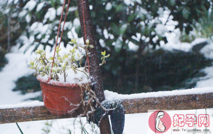 形容2018第一场雪的心情 表达下雪的经典的说说朋友圈