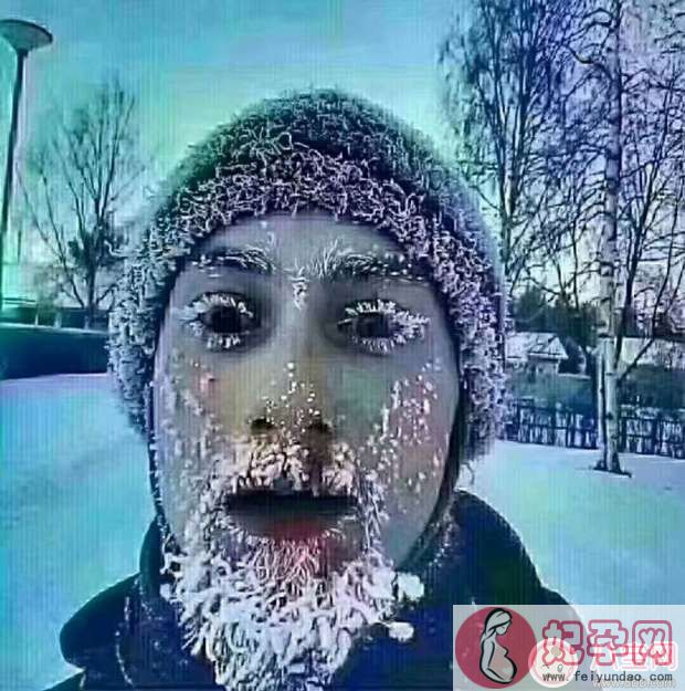 下雪了就应该这样玩2018 这才是下雪的正确打开方式