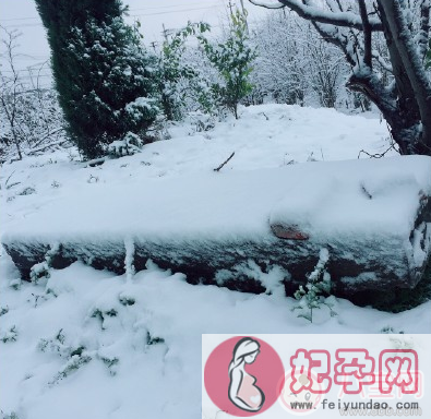 下雪火车动车停运怎么发朋友圈 下雪不能回家的心情句子说说