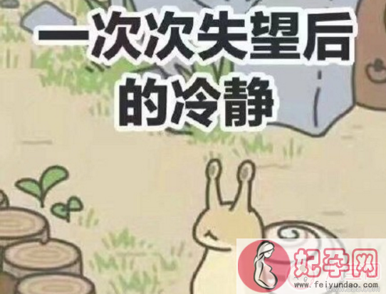 旅行青蛙蜗牛说的日语是什么意思 旅行青蛙蜗牛梅梅不喜欢哪些食物