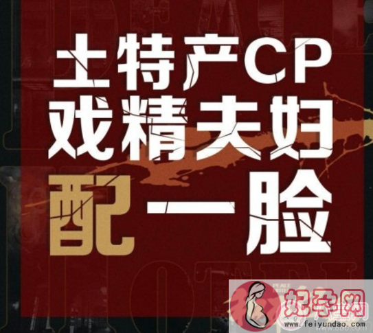 和平饭店土特产CP是什么梗 雷佳音陈数土特产CP是什么意思