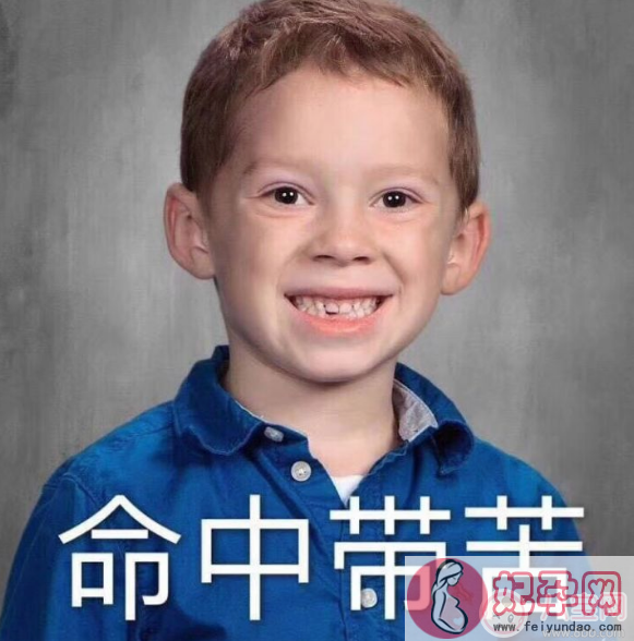 学生李太白为什么火 学生李太白走红的原因是什么