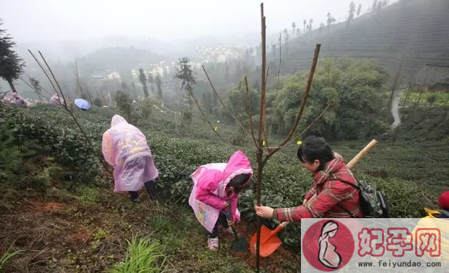 植树节手抄报图片大全 2018元狗年植树节图画