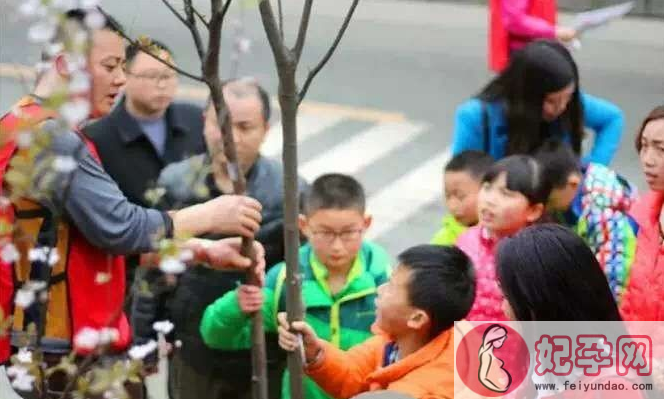 植树节手抄报图片大全 2018元狗年植树节图画