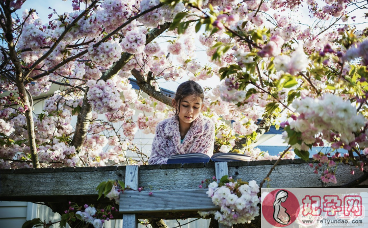 带孩子赏樱花晒图心情说说 带孩子赏樱花晒图句子短语朋友圈