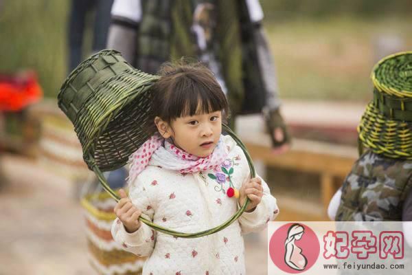 她曾是央视的当家花旦，整容成功后比董卿还要美