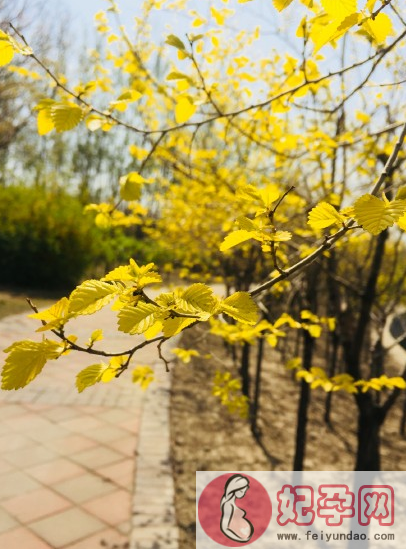 形容夏天来临的句子 描写夏天的唯美简单短句