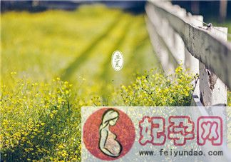 2018立夏微信朋友圈问候语 立夏快乐祝福语说说心情