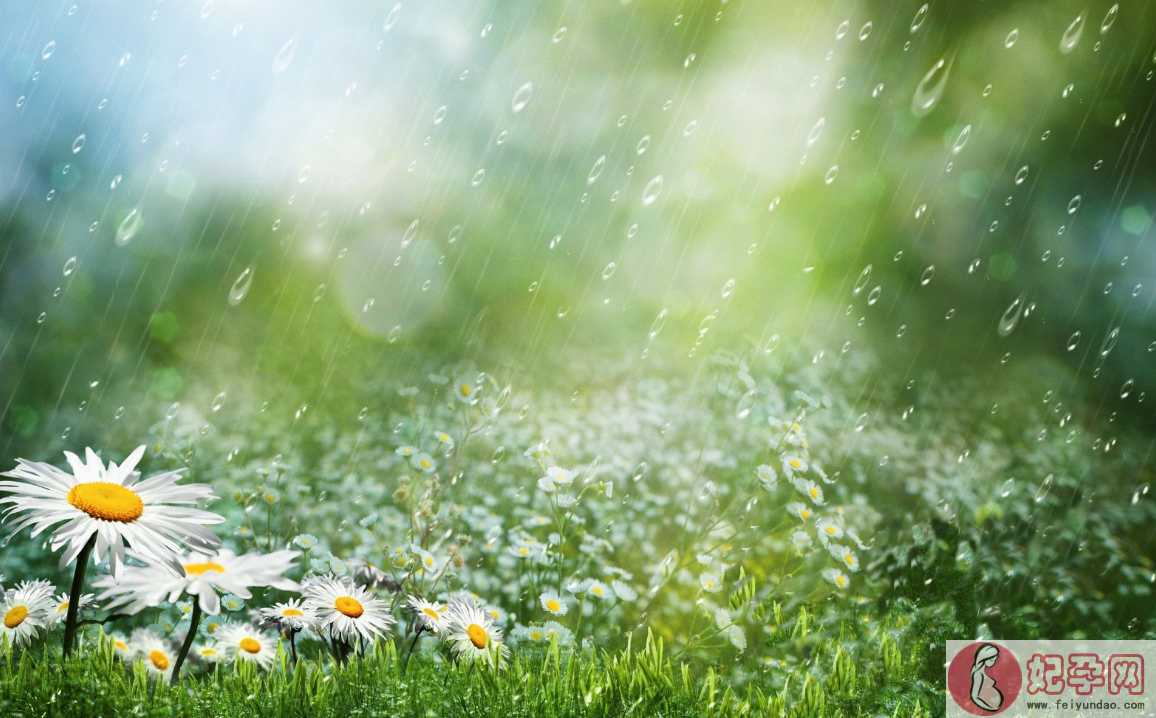 2018描写淋雨的心情说说 下雨被淋湿一身的句子说说朋友圈