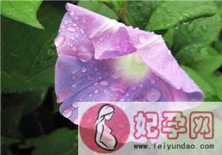 钟情下雨天的图片带字唯美心情说说 2018雨天唯美图片句子说说朋友圈