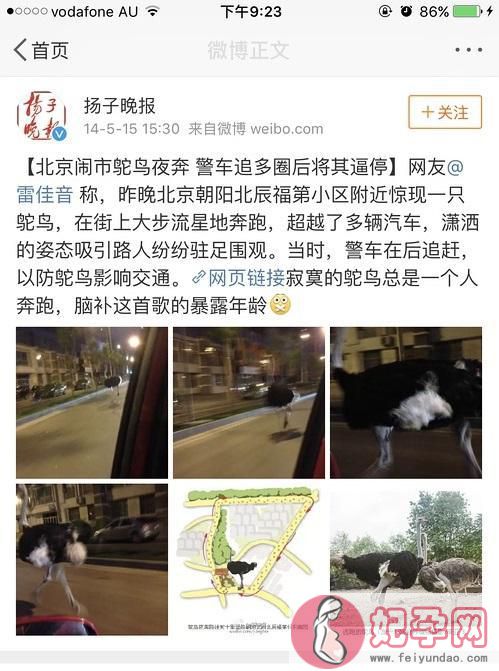 洪金宝都有孙子了？两个孙子正面首曝光，没想到都那么帅