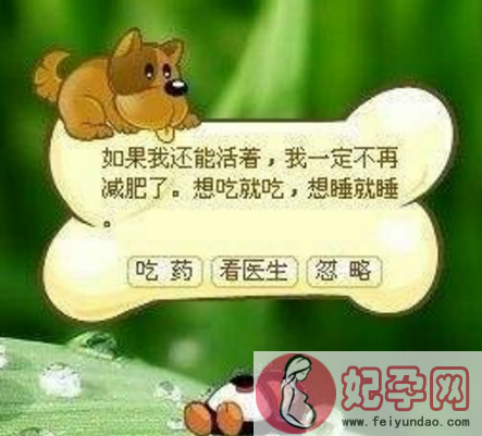 QQ宠物将永久死亡是真的吗 QQ宠物将停运怎么回事