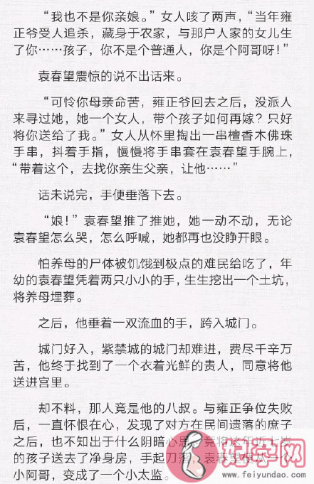 延禧攻略袁春望真实身份 袁春望是皇帝私生子真的吗