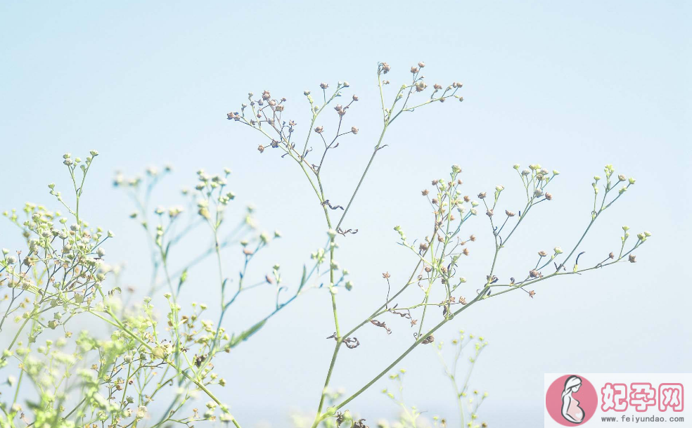 明天开学说说 明天开学发什么说说朋友圈好