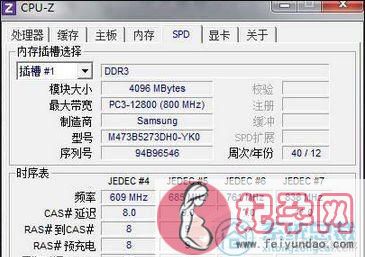 怎样识别内存条（怎么辨别电脑内存条真假）(11)
