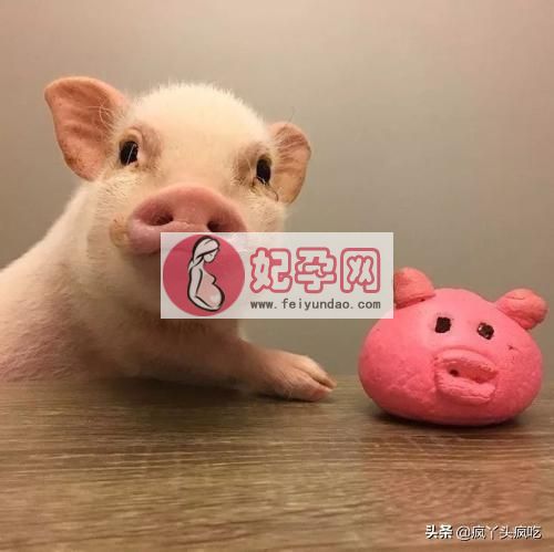 芜湖詹记桃酥（合肥詹记宫廷桃酥大测评）(31)