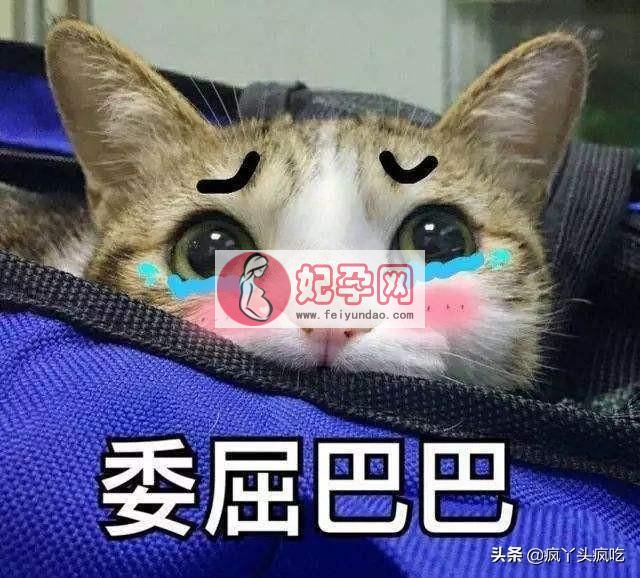 芜湖詹记桃酥（合肥詹记宫廷桃酥大测评）(2)
