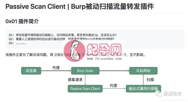 x-ray是什么插件（Xray安装使用-联动burpsuit自动挖洞）(9)