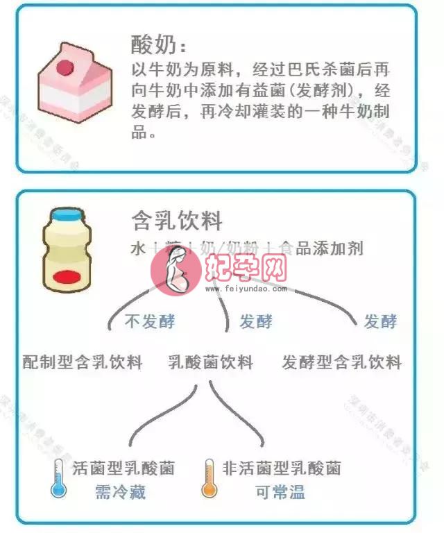 酸奶饮品和乳酸菌饮品区别（乳酸菌and酸奶傻傻分不清）(3)
