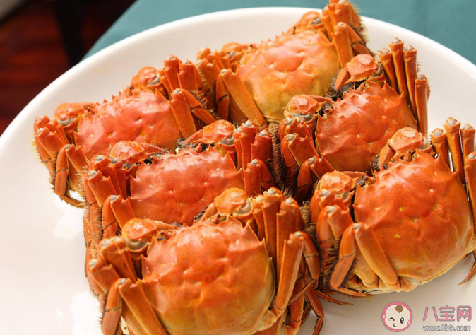 医生建议1顿饭吃螃蟹不超过2只 螃蟹食用过多有什么危害