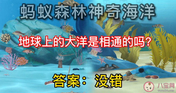 蚂蚁森林地球上的大洋是相通的吗 神奇海洋11月7日答案