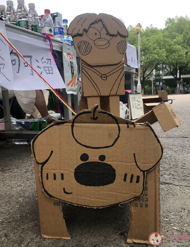 纸盒狗风靡中国高校 纸盒狗为什么火了