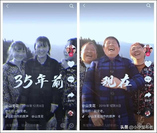 抖音所有搞笑网红盘点（抖音三支花阿姨）(1)