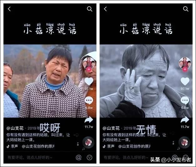 抖音所有搞笑网红盘点（抖音三支花阿姨）(2)