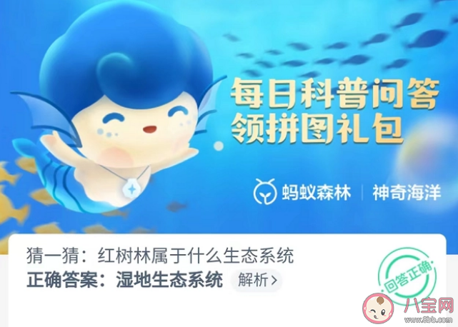 蚂蚁森林红树林属于什么生态系统 神奇海洋11月10日答案