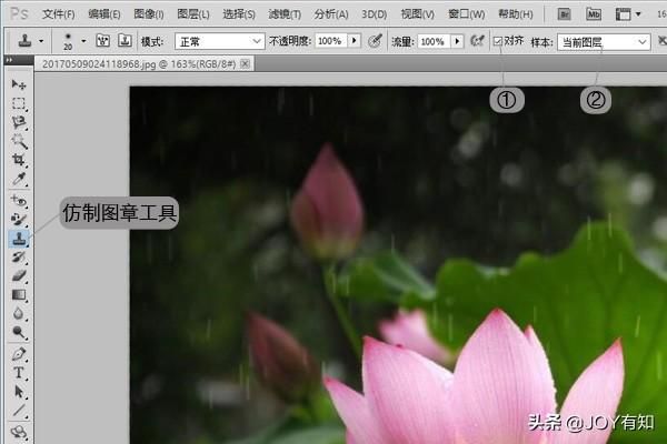 ps里的图章工具怎么使用（Photoshop从入门到精通图章工具）(1)