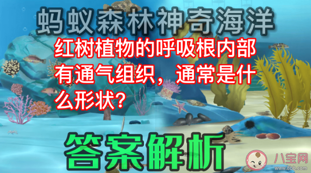 蚂蚁森林红树植物的呼吸根内部有通气组织是什么形状 神奇海洋11月15日答案