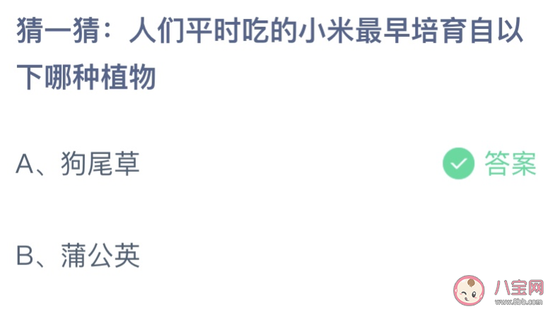 蚂蚁庄园平时吃的小米最早培育自以下哪种植物 小课堂11月16日答案最新