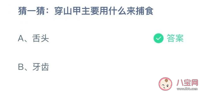 蚂蚁庄园穿山甲主要用舌头还是牙齿捕食 11月17日正确答案