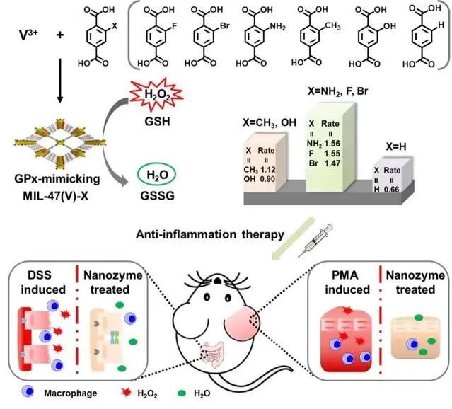 ph激活剂对酶活性的影响（MOF纳米酶的类谷胱甘肽过氧化物酶活性调控及抗炎应用）(2)