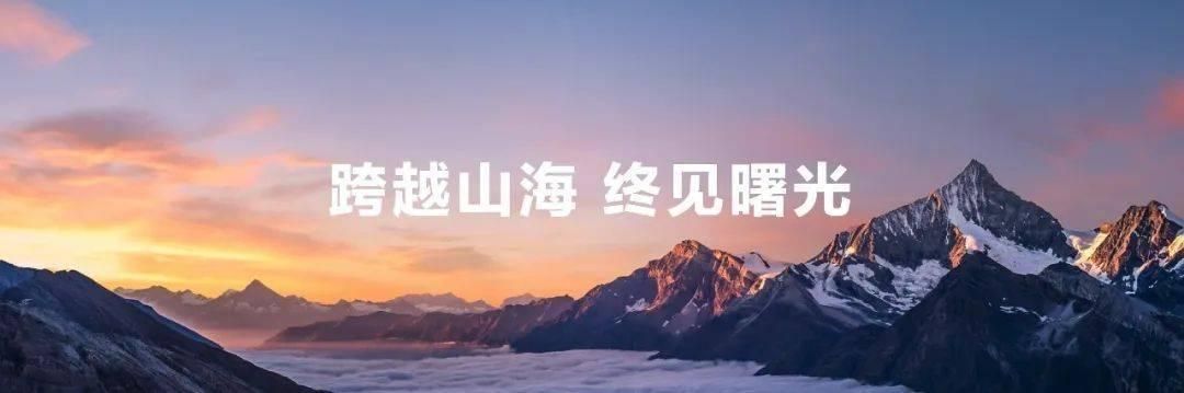 mate手机哪个好（高端手机市场迎来破局）(2)