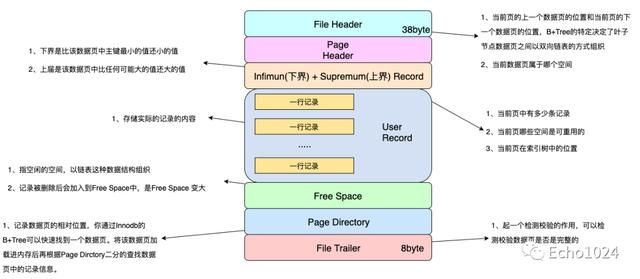 mysql三个范式（<font color='red'>说说</font>什么是页分裂吧）