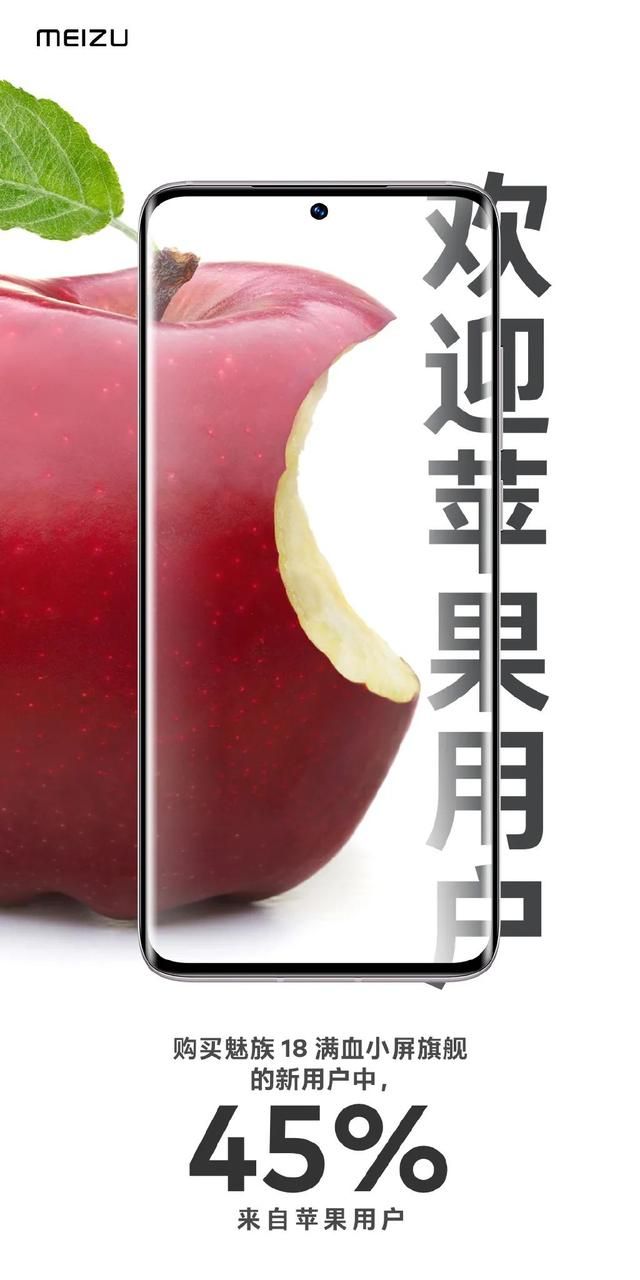 魅族苹果抗菌手机壳（给苹果设计的手机壳还挺酷）(31)