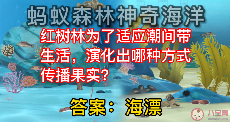 蚂蚁森林红树林为了适应潮间带生活演化出哪种方式传播果实 神奇海洋11月21日答案