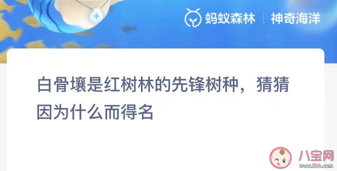 白骨壤是红树林的先锋树种猜猜因为什么而得名 神奇海洋11月22日答案