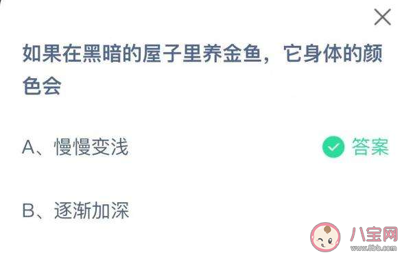 蚂蚁庄园在黑暗的屋子里养金鱼它身体的颜色会怎样 12月1日答案解析