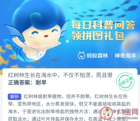 红树林生长在海水中不仅不怕涝而且很耐旱吗 蚂蚁森林神奇海洋12月2日答案